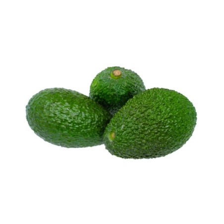 Avocado Bio 2pcs