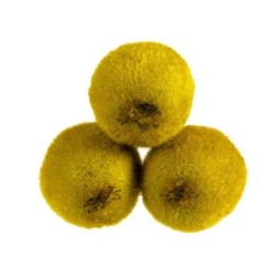 Kiwi green Bio x42