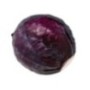 Cabbage Red Bio