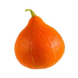Pumkins orange Bio cal.800-1200g