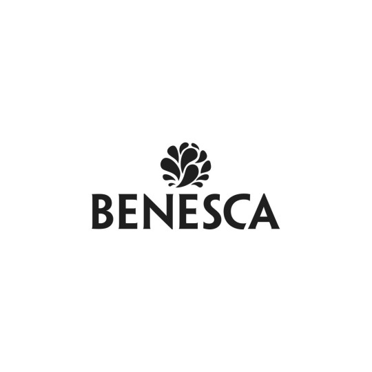 Capers Benesca 560g