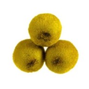 Kiwi green 500g
