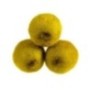 Kiwi green 500g