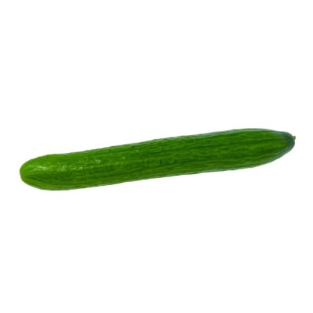 Cucumber Bio 1pc