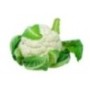 Cauliflower Bio 1pc