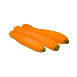 Carrots washed Bio 500g