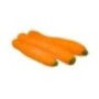 Carrots washed Bio 500g