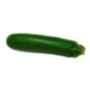 Courgette Bio