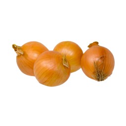 Mugulsibul MAHE