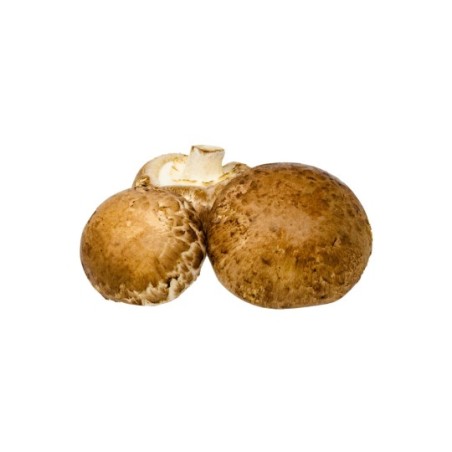 Mushroom brown Bio 250g