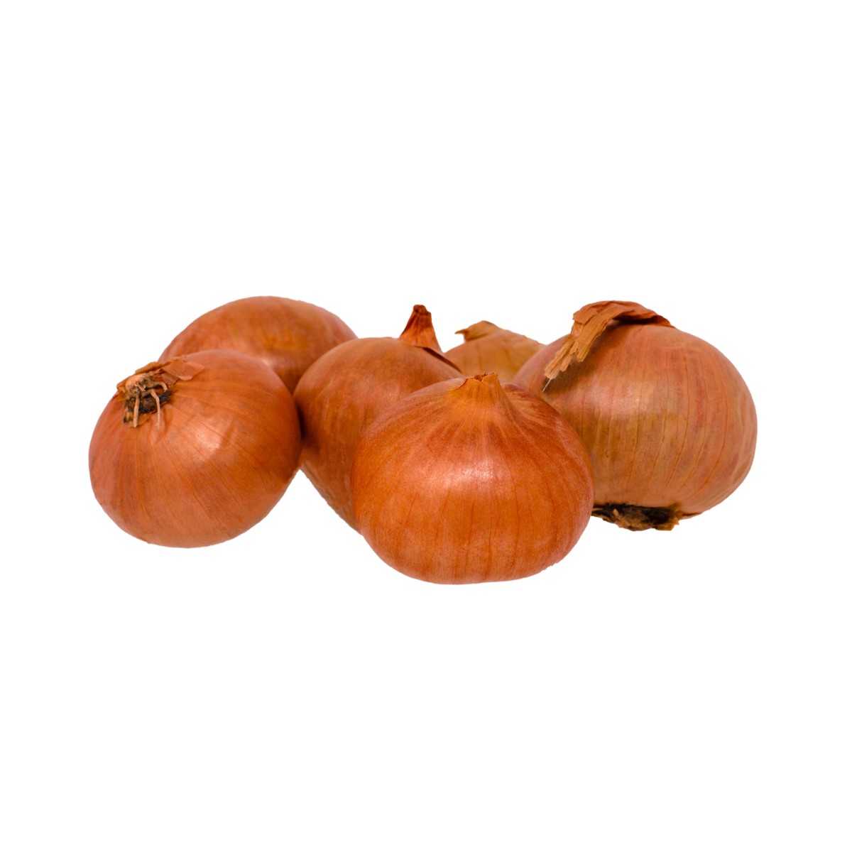 Shallot onions Bio 250g