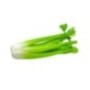 Green Celery Bio 1bag